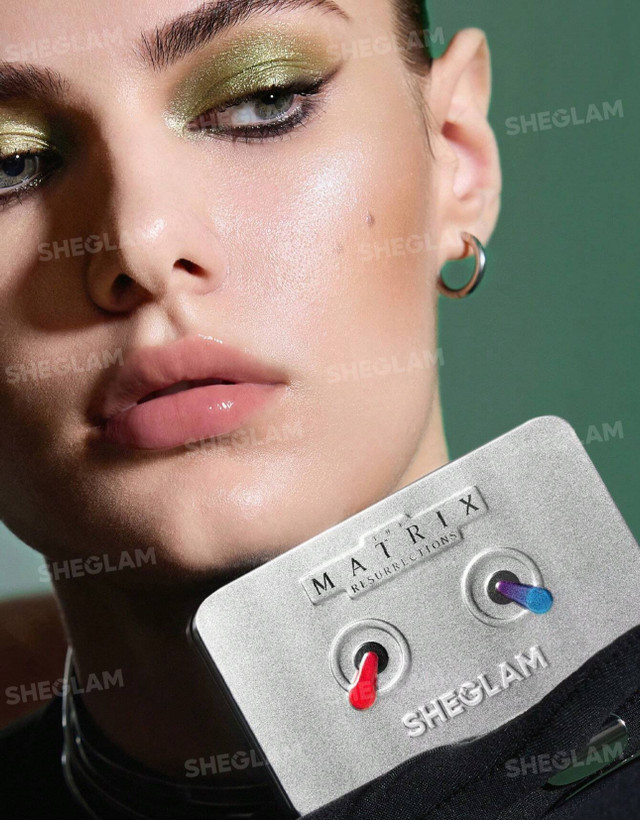 پالت سایه چشم ماتریکس شیگلم